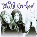 WILD ORCHID